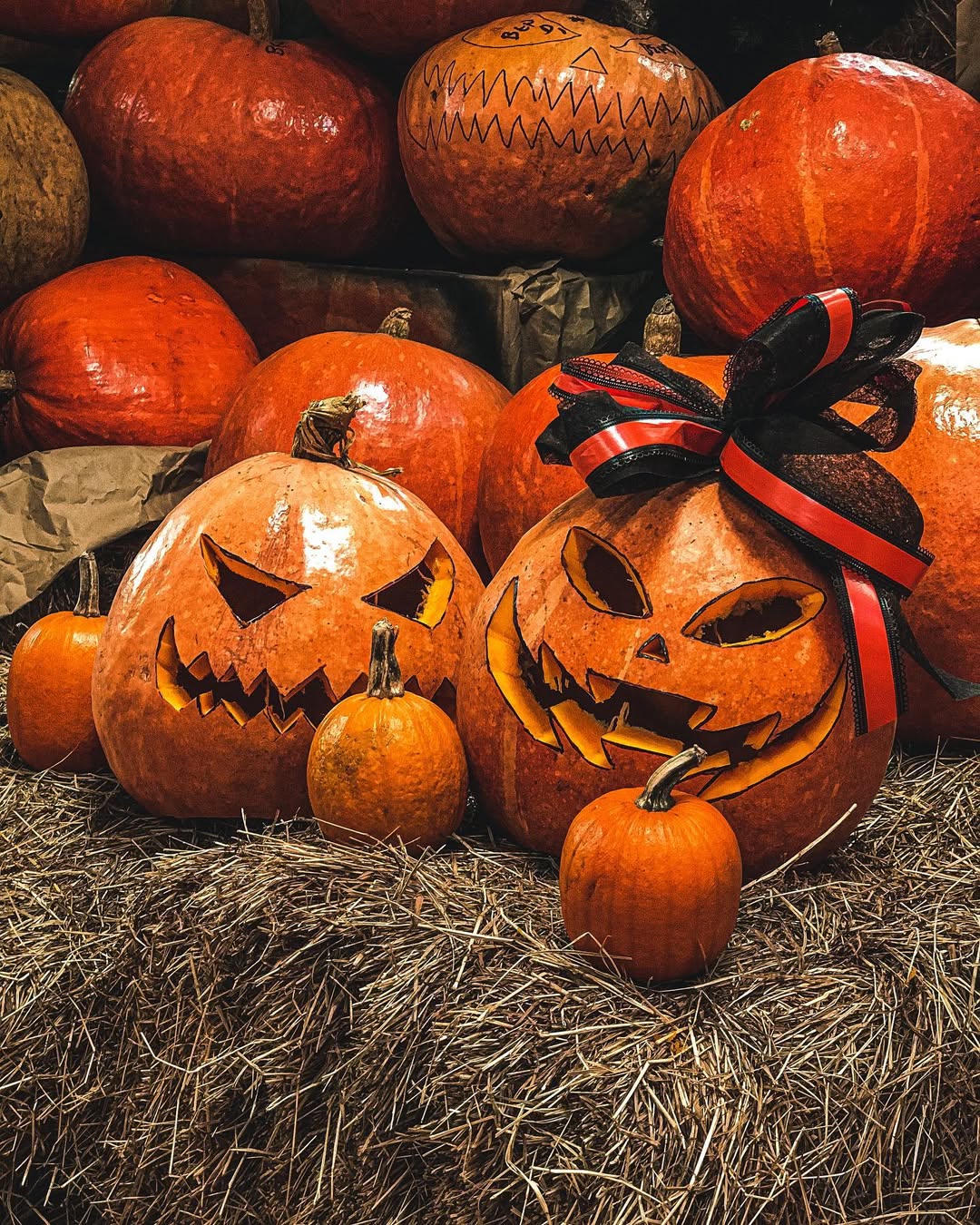 Calabazas Bogotá